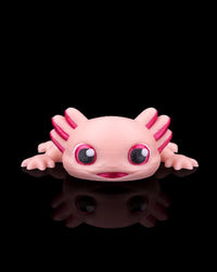Ashley the Axolotl | Mesh Buddy