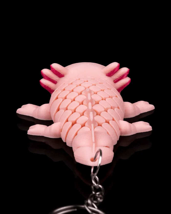 Ashley the Axolotl | Mesh Buddy