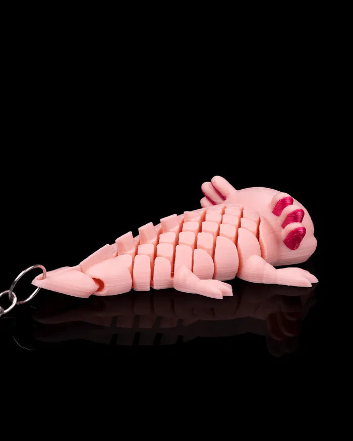 Ashley the Axolotl | Mesh Buddy