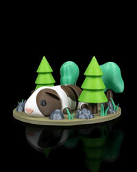 Guinea Pig in Field Nest