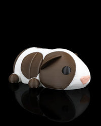 Guinea Pig in Field Nest