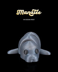 Manatee in Ocean Rest