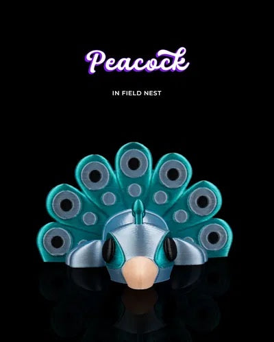 Peacock in Field Nest
