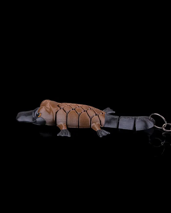 Pierre the Platypus | Mesh Buddy