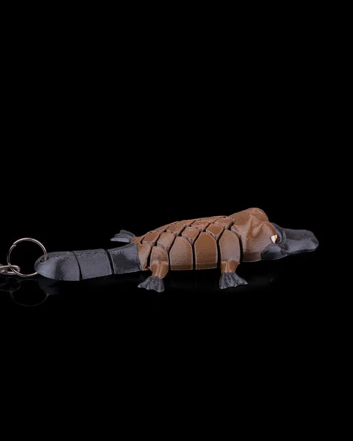 Pierre the Platypus | Mesh Buddy