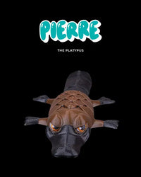 Pierre the Platypus | Mesh Buddy