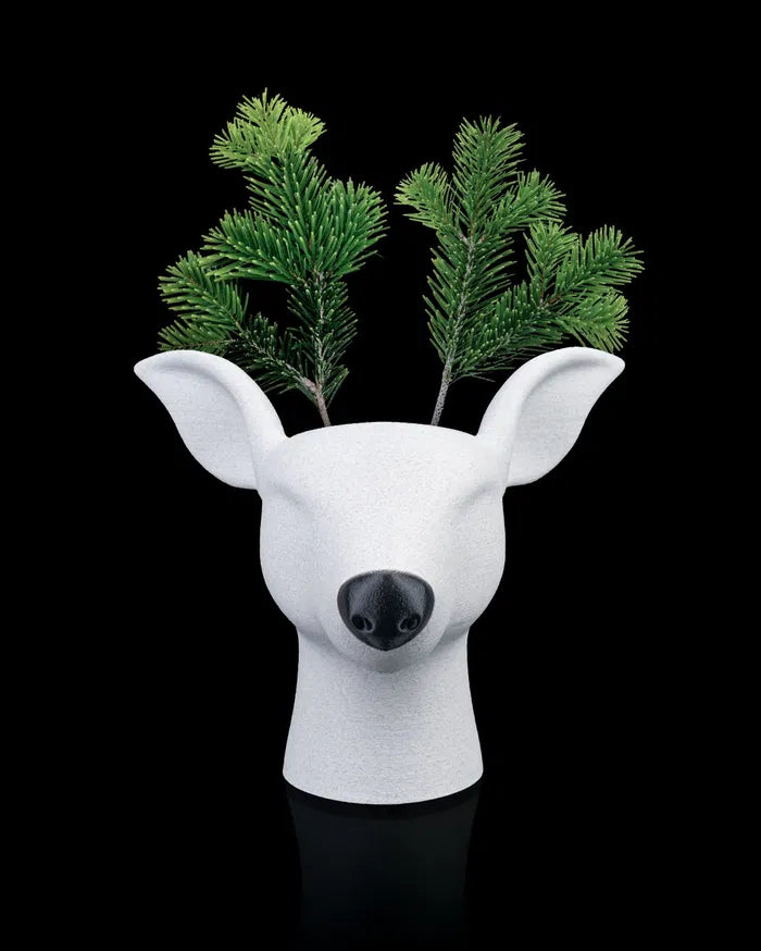 Rootolph | Planter