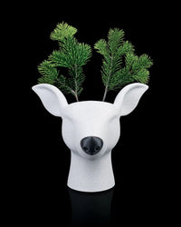 Rootolph | Planter