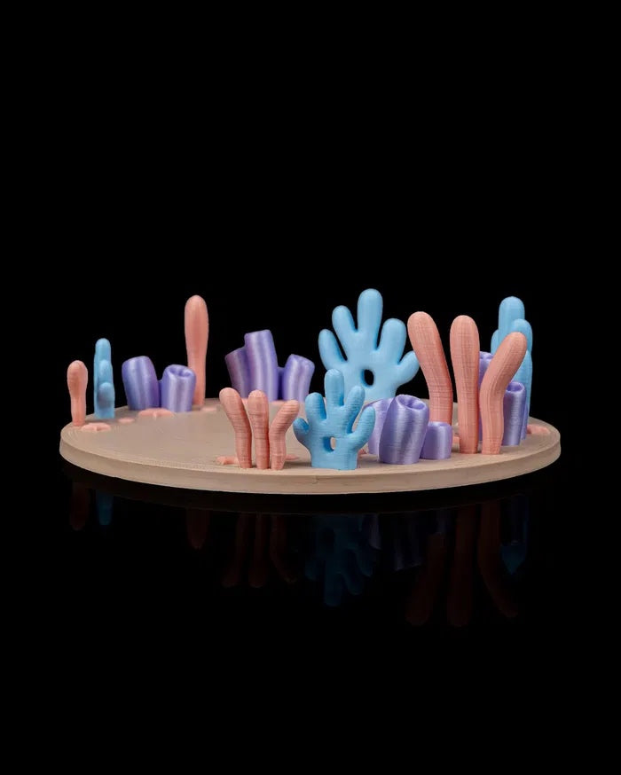 Ocean Rest | Coral Reef Habitat