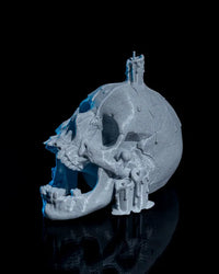 Skull Candle 2 6c986948f5