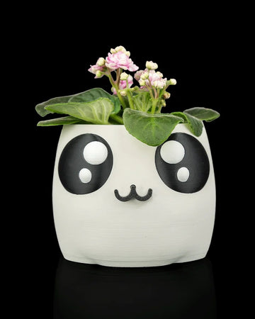 White rounded face planter with black-and-white eyes, small mouth, and flowering plant on a black background