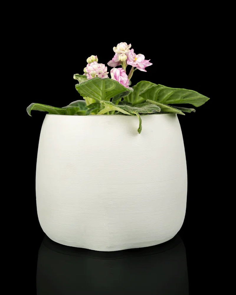 Back view of a white rounded planter holding a flowering plant on a black background