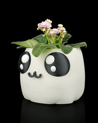 Angled view of a white face planter with large black-and-white eyes and flowering plant