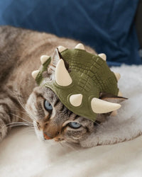 Cat resting on a white blanket while wearing an olive-green spiked crown-shaped costume with cream-colored spikes