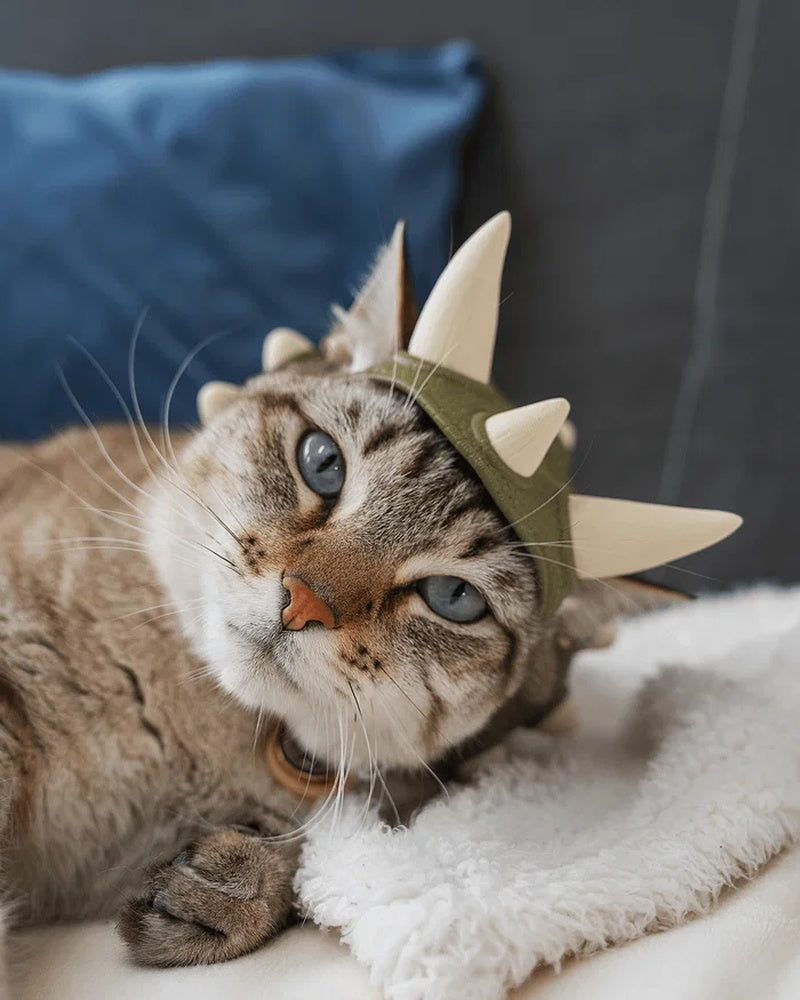 Cat lying on a blanket while wearing an olive-green spiked headpiece with cream-colored horn shapes