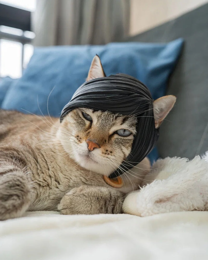 Tabby cat lying on a bed wearing a black side-swept bangs piece.