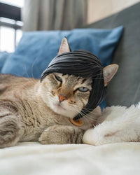 Tabby cat lying on a bed wearing a black side-swept bangs piece.