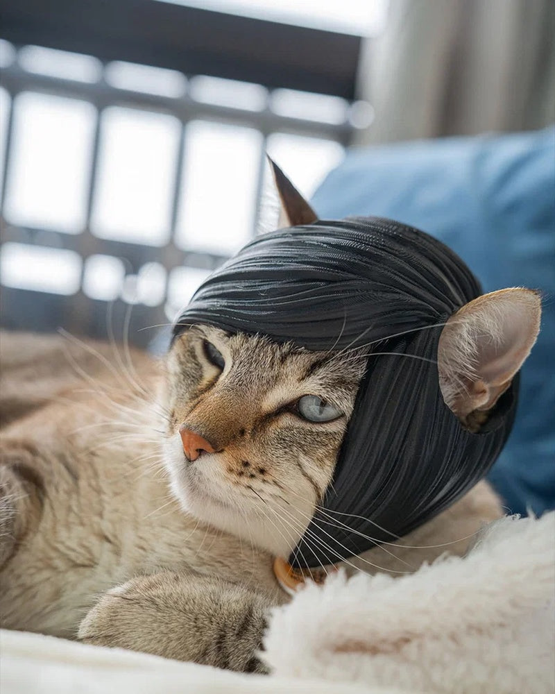 Close-up of a tabby cat wearing a black side-swept bangs piece on a bed.
