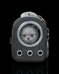 Front view of a grey cat face in a dark carrier frame with yellow eyes and circular front details