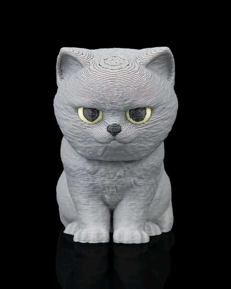 Front view of a seated grey cat with yellow eyes on a black background