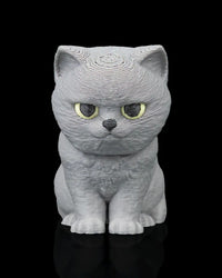 Front view of a seated grey cat with yellow eyes on a black background