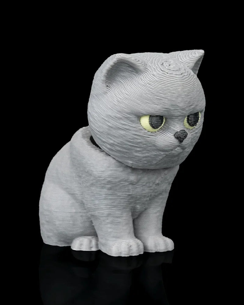 Angled front view of a seated grey cat with yellow eyes facing to the side