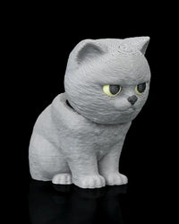 Angled front view of a seated grey cat with yellow eyes facing to the side