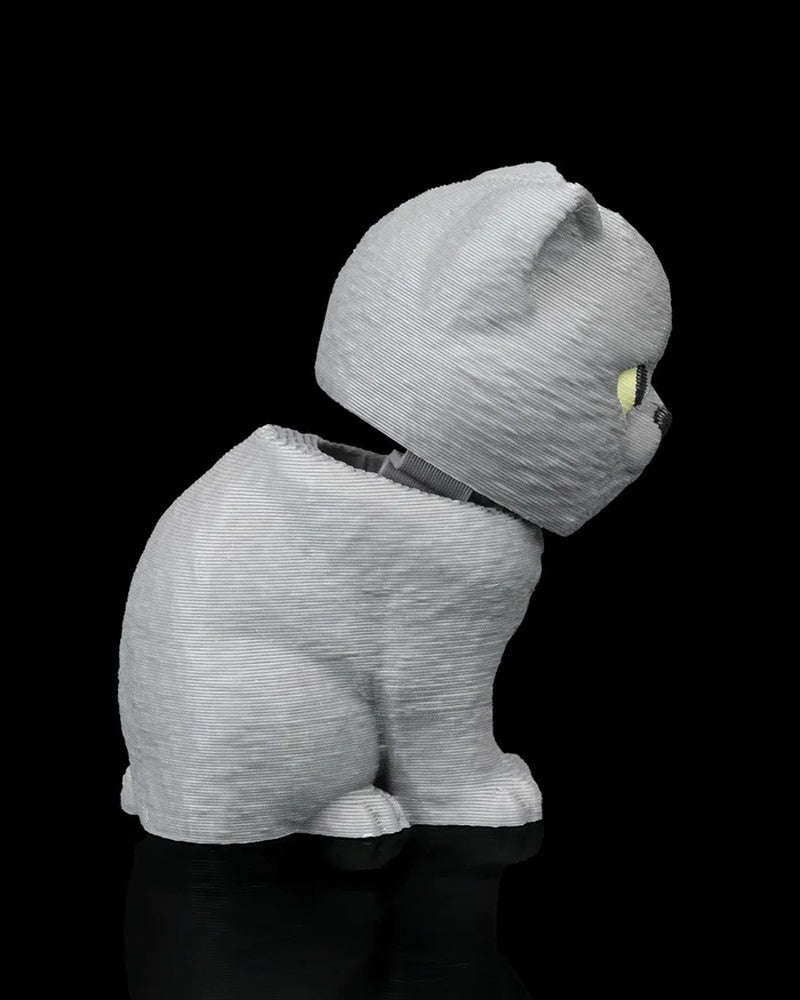 Side view of a seated grey cat with a visible gap between the head and body