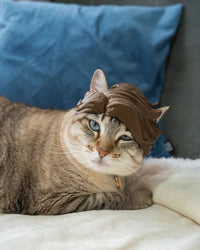 Tabby cat lying on a white blanket wearing a brown wave-styled headpiece.