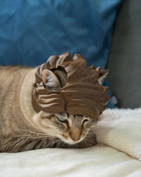 Tabby cat looking downward while wearing a brown wave-styled headpiece.