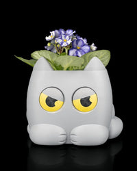 Gray cat-shaped planter holding a small flowering plant on a black background