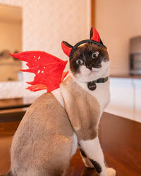 A cat wearing red wings and a black headband with red horns on a wooden surface.