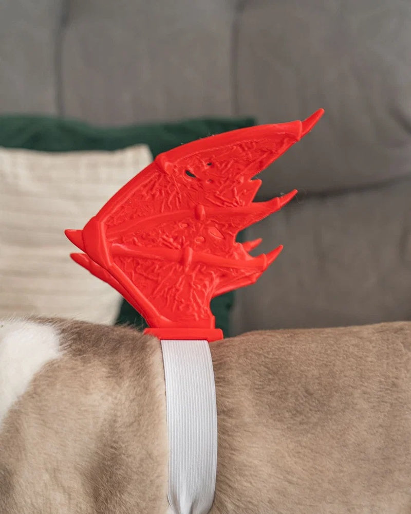 Close-up of a red wing piece on a cat with a white strap.