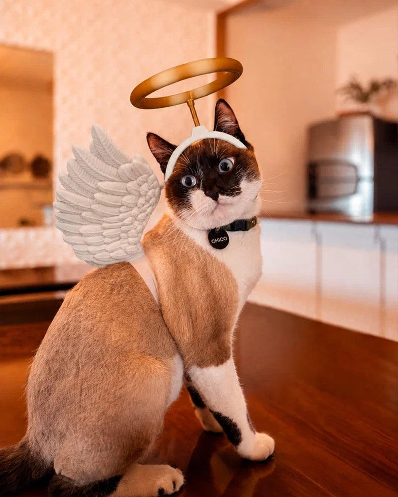 A cat wearing white wings and a gold halo headpiece while sitting on a table