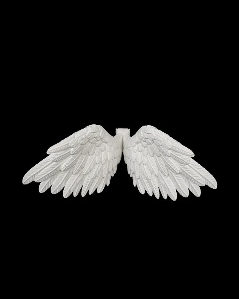 White feather-style wings facing forward on a black background