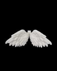 White feather-style wings facing forward on a black background