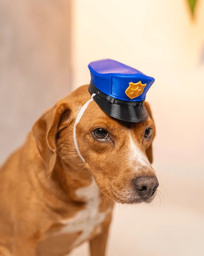 Brown dog wearing a blue cap with a black brim and a white strap visible near one ear