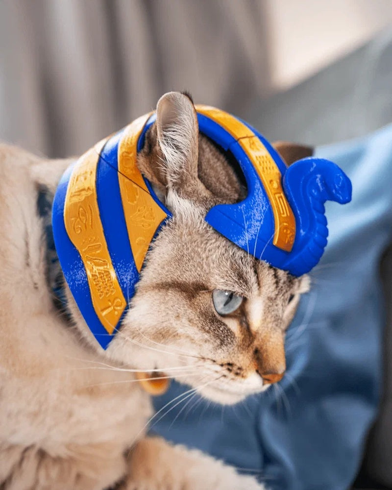 Cat wearing a blue and gold pharaoh-style headpiece on a sofa