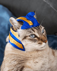 Cat in profile wearing a blue and gold headpiece with a cobra-shaped front detail