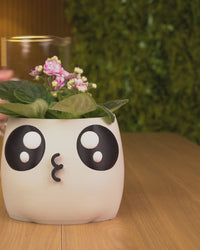 Big-Eyed Plant Pal Planter