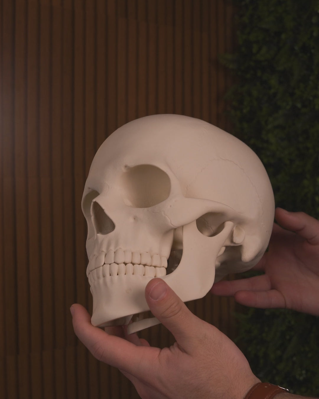 Hollow-Eyed Skull Figurine