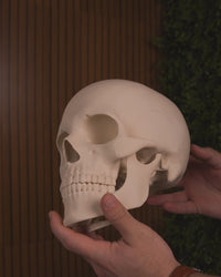 Hollow-Eyed Skull Figurine