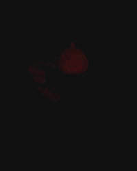 Pumpkin Death Whistle