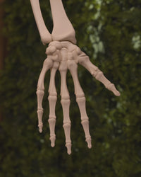 Reach and Rattle Human Arm Skeleton Figurine