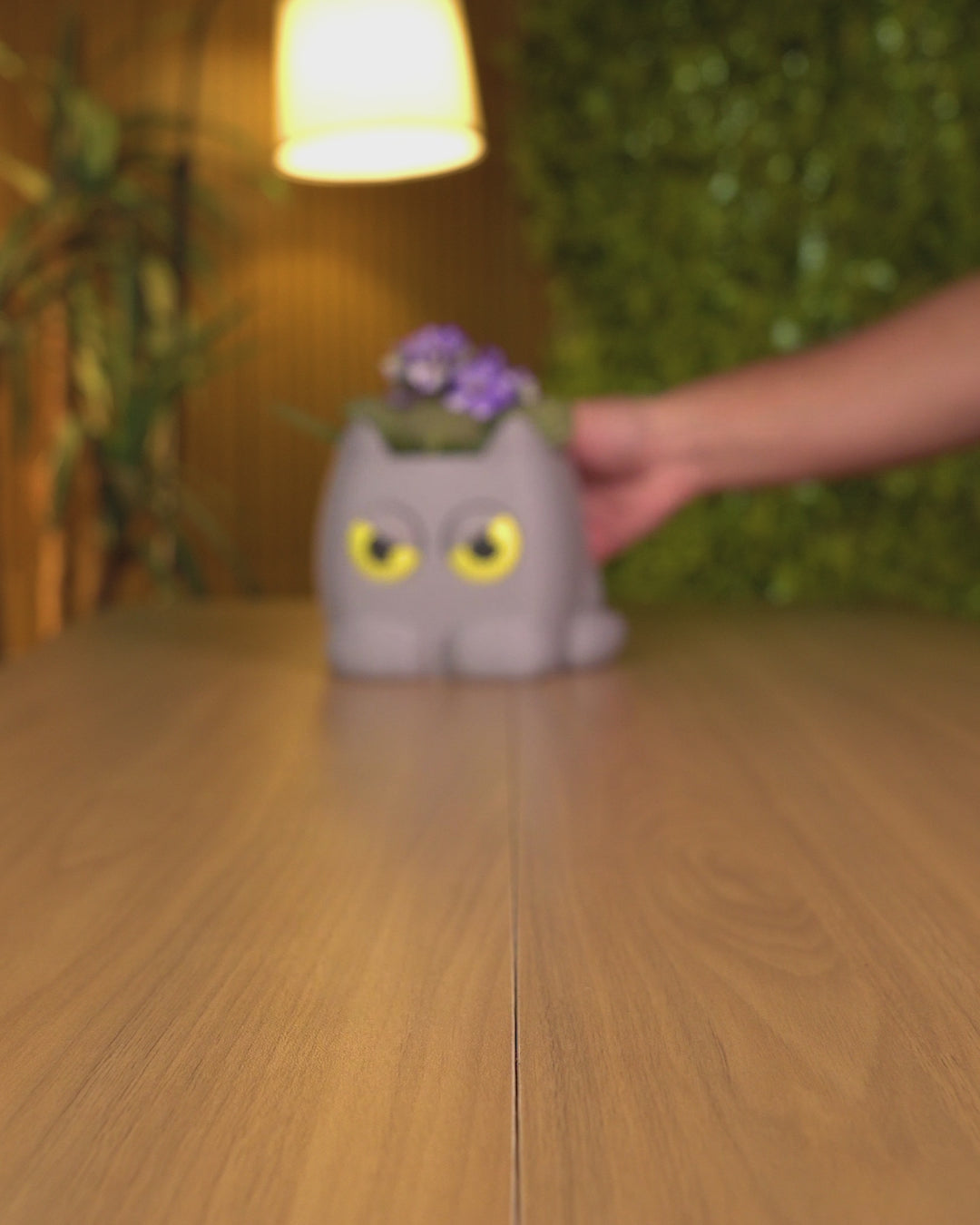 Side-Eye Kitty Planter