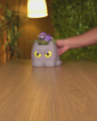 Side-Eye Kitty Planter